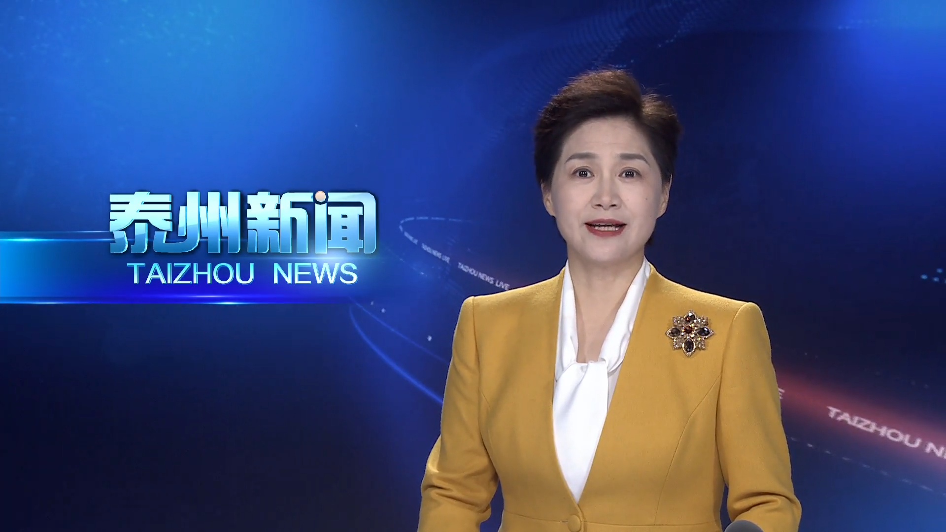泰州市暨靖江市“我们的节日·重阳”主题文化活动举行