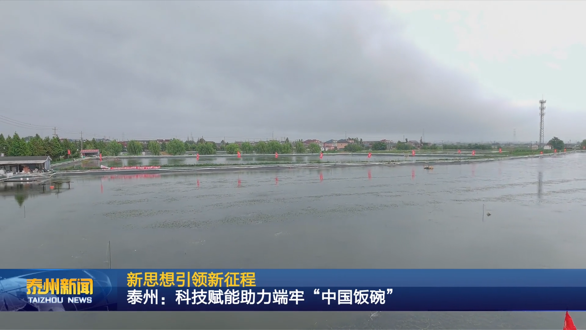 新思想引领新征程  泰州：科技赋能助力端牢“中国饭碗”
